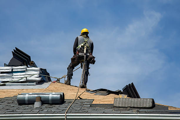 Professional Gutter Installation technician working in Lamoille, NV